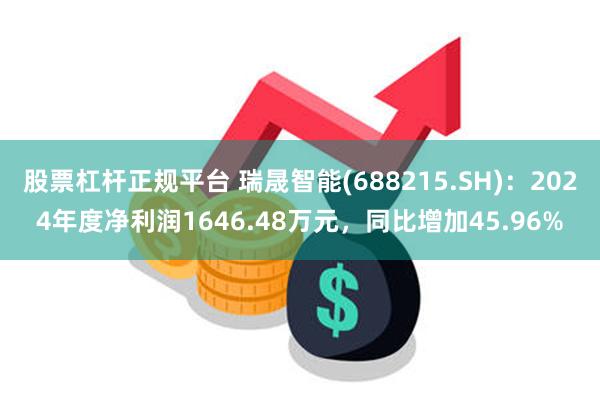 股票杠杆正规平台 瑞晟智能(688215.SH)：2024年度净利润1646.48万元，同比增加45.96%