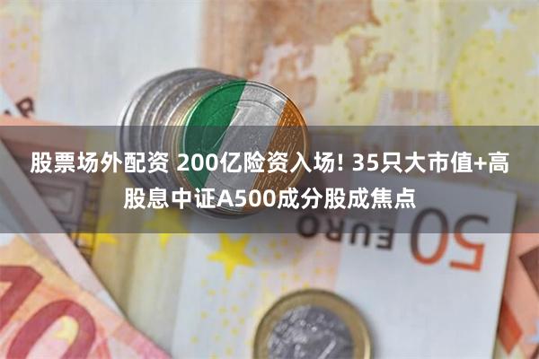 股票场外配资 200亿险资入场! 35只大市值+高股息中证A500成分股成焦点