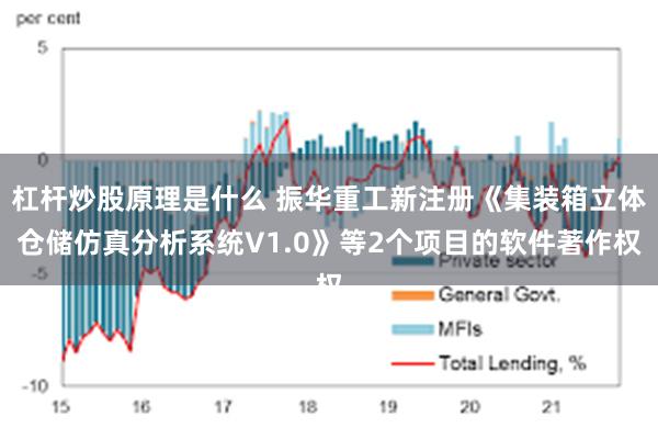 杠杆炒股原理是什么 振华重工新注册《集装箱立体仓储仿真分析系统V1.0》等2个项目的软件著作权