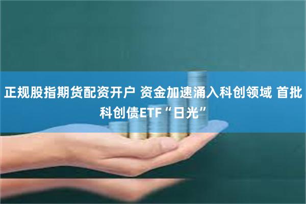 正规股指期货配资开户 资金加速涌入科创领域 首批科创债ETF“日光”