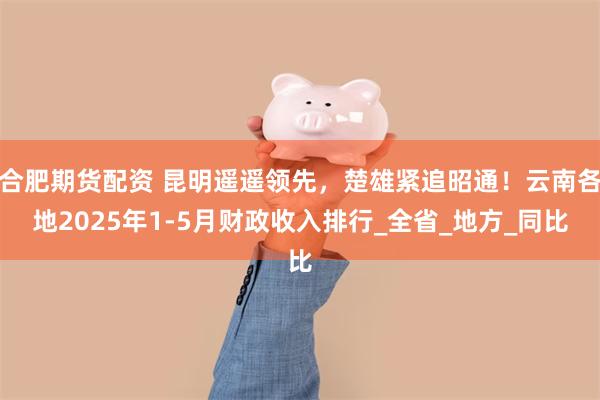 合肥期货配资 昆明遥遥领先，楚雄紧追昭通！云南各地2025年1-5月财政收入排行_全省_地方_同比