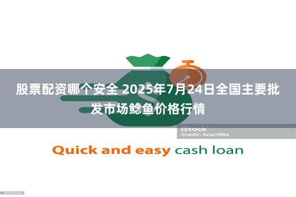 股票配资哪个安全 2025年7月24日全国主要批发市场鲶鱼价格行情