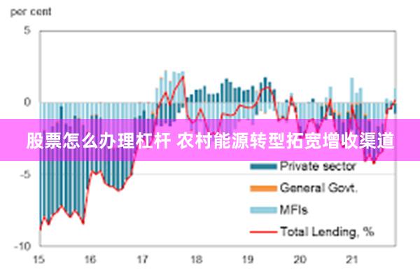 股票怎么办理杠杆 农村能源转型拓宽增收渠道