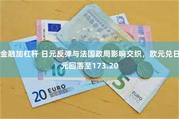 金融加杠杆 日元反弹与法国政局影响交织，欧元兑日元回落至173.20